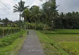 TANAH VIEW SAWAH DI PAYANGAN GIANYAR TABANAN UBUD