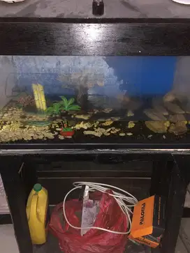 di jual cepat aquarium