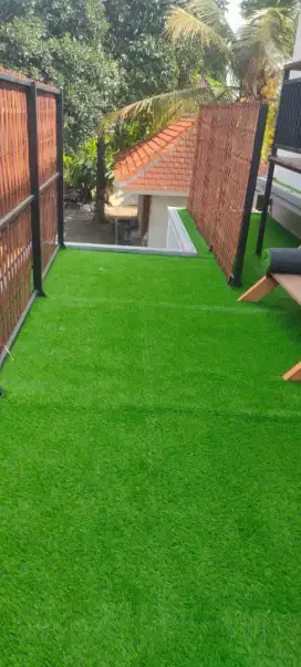 rumput sinterus murah di bandung bisa cod