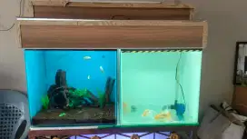 Aquarium kubus 2 pcs