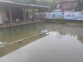 Jual tanah plus kolam pemancingan murah