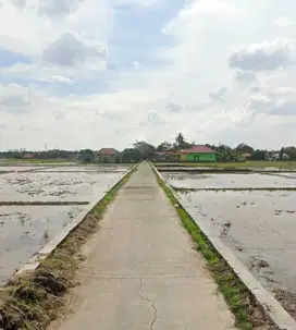 Jual Sawah Produktif dekat pemukiman pnddk luas 1,2 ha di Kutawaluya