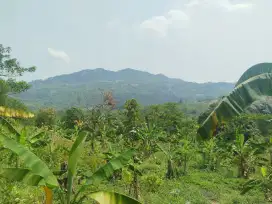 Tanah murah best view sudah SHM di desa Pabuaran Sukamakmur bogor