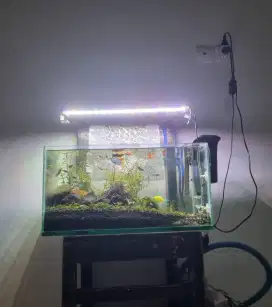 Aquascape aquarium ikan