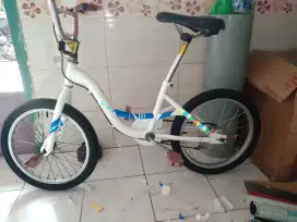 Wimcycle 20 sepeda anak