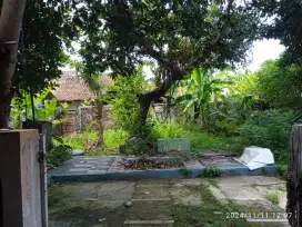 Jual Tanah Kebun Pekarangan 209 m²