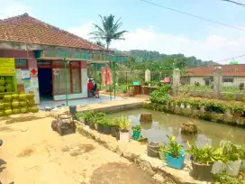 Jual cepat rumah dan kolam ikan pinggir jalan