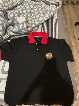 Polo Tomy & Zip Tomy (Take 2)