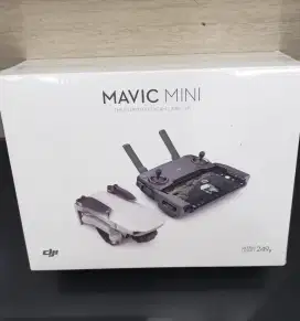 DJI Mavic Mini Ultra Light 249g