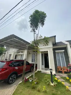 Disewakan atau dijual