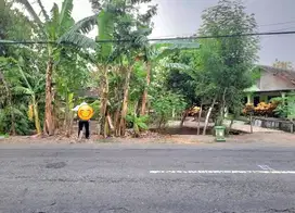 Tanah Magetan jln raya Jomblang dijual cepat