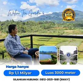 Jual Tanah View Gunung Dan Kebun Teh Di Bandung