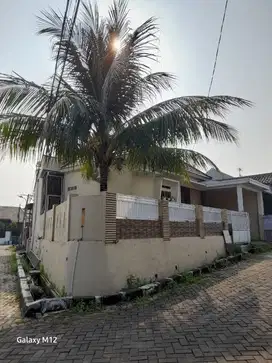 Rumah Bumi Rakata Asri, Cluster - Cilegon