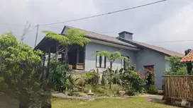 Villa siap pakai masih beroperasi di daerah Cimacan Puncak Jawa Barat