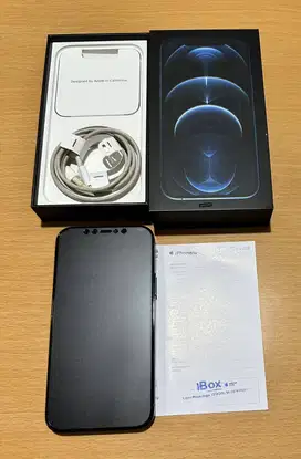 Apple Iphone 12 Pro 256 Gb