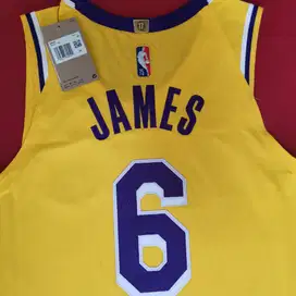 Lebron JAmes AUthentic Shirts