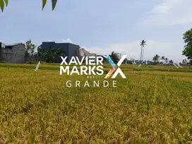 Tanah Luas cocok untuk Bisnis Greenhouse di Malang