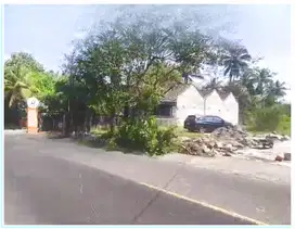 1 Menit Polsek Tempe, Dijual Tanah Lumbungrejo Sleman