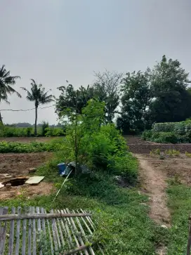 Jual murah Tanah di Tambelang Bekasi