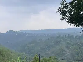 Tanah kebun luas kecil udara sejuk di tabanan bali