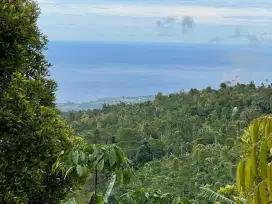 JUAL TANAH VIEW LAUT LOVINA SINGARAJA BALI