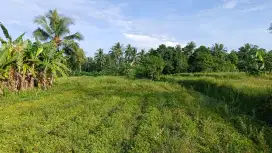 DI JUAL CEPAT TANAH SAWAH PRODUKTIF