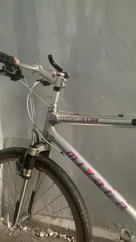 Miyata Elevation 5000