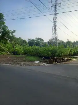 JUAL TANAH KEBON BIBIT