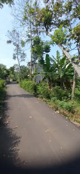 Dijual Tanah Kauman Kidul 500m SHM