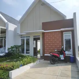 rumah raedy stock tanpa dp