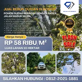 Jual Kebun Durian Siap Panen Di Bogor