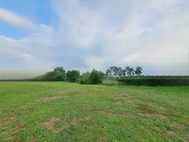 Dijual Kavling Hadap Timur di Bukit Terrace Golf BSD City
