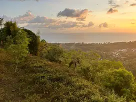 Tanah full view laut dan sunset dekat Senggigi