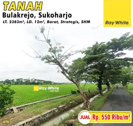 Dijual Tanah Bulakrejo, Sukoharjo