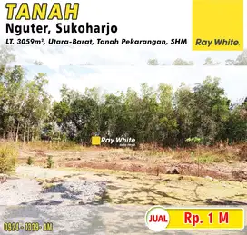 Dijual Tanah Nguter, Sukoharjo