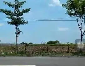 Dijual Tanah Jl Nasional, Mrutuk Utara, Kec. Widang, Tuban