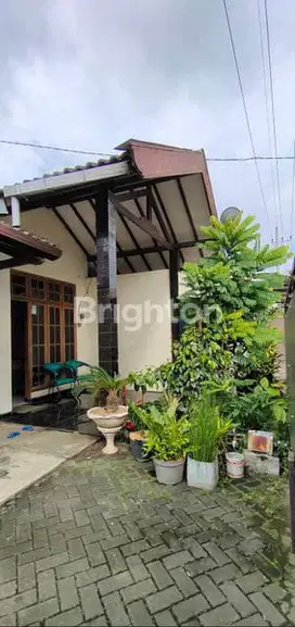 Rumah luas dan asri dekat Soehat ( Nego)