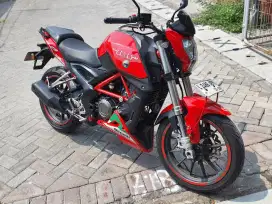 Benelli TNT 25 Red 2023