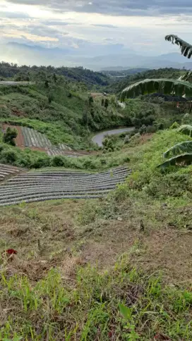 Tanah ladang lahan produktif