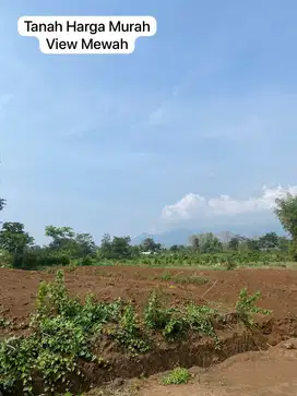 TANAH STRATEGIS DI KOTA MALANG ANGSURAN TANPA BUNGA MILIKI SEKARANG