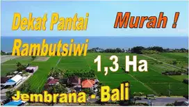 13.030 m2 Dijual Murah Strategis Pinggir Jalan Provinsi