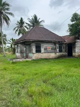 dijual cepat tanah rumah di tanjung beringin, kab serdang bedagai