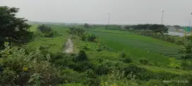 Di jual tanah murah view gunung lawu, sawah dan toll kb. Ngawi