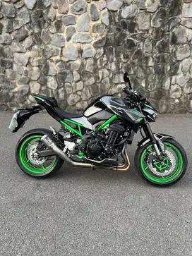 Kawasaki Z900 tahun 2024