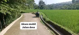 Jual tanah sawah produktip murah view pegunungan