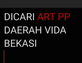 DICARI ART PP VIDA BEKASI