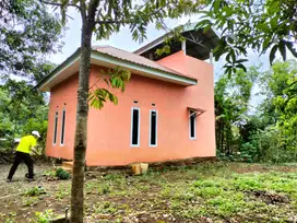 Jual Tanah Kebun