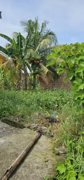 Dijual tanah Nego, lokasi Bagus untuk tempat tinggal