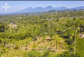 Tanah Payangan Kerta Untuk Retreat atau Kebun Organik