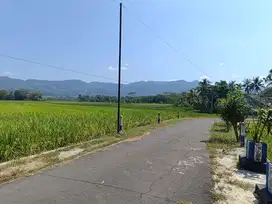 Tanah View Mewah di Nanggulan Kulon Progo